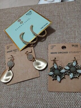 Earrings